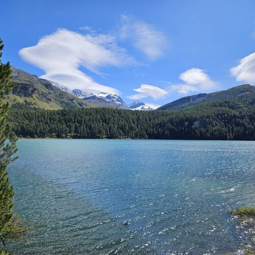 Wenn im Engadin die schönste Jahreszeit anbricht: Der Herbst 🍁🍂

#herbst #auntumnvibes🍁 #engadinstmoritz #silsersee...