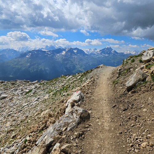 Instandsetzung Wander- und Mountainbikeweg Chamanna Saluver - Trais Fluors

#mountainbikeinfrastruktur #trailarbeiten...